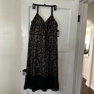 Elegant Black Lace Dress